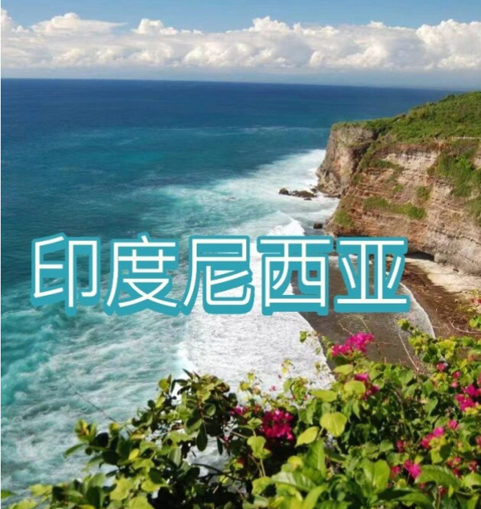 际电商(印尼)产业博览会pg电子2025中国国(图3)