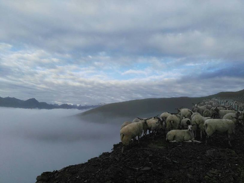 中国】达瓦更扎看云海pg电子首页【大美