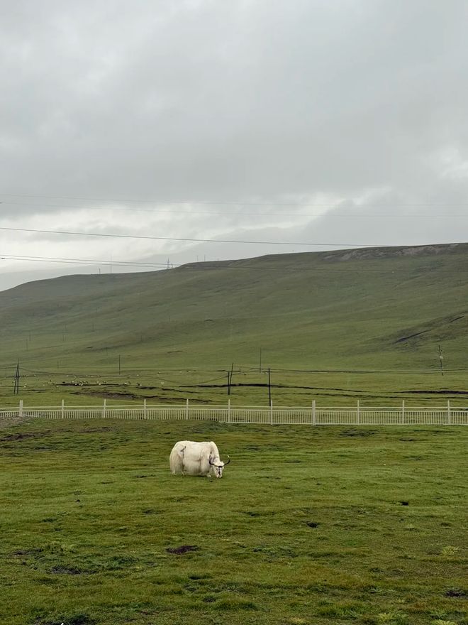 藏这份甘青大环线最佳路线图与深度旅游攻略pg电子模拟器免费版青甘大环线怎么玩？收(图3)