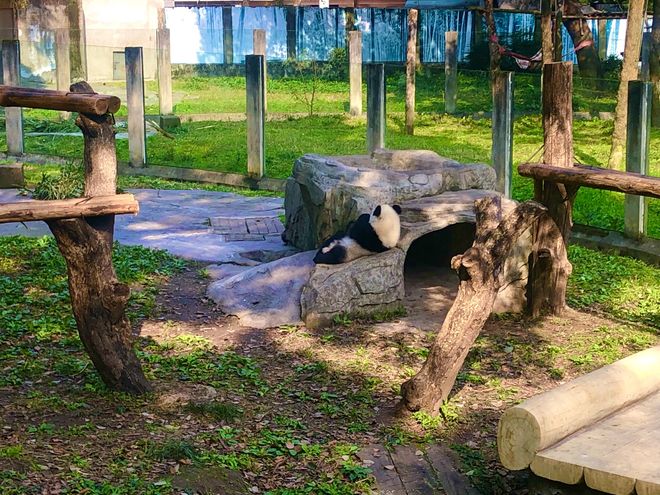 行重庆旅游5日游十大必去景点+行程方案pg模拟器电脑版重庆旅游攻略带孩子自由(图1)