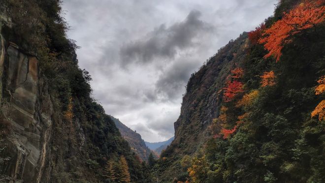 行重庆旅游5日游十大必去景点+行程方案pg模拟器电脑版重庆旅游攻略带孩子自由(图4)